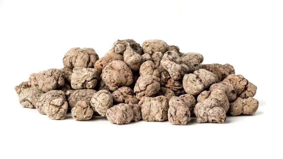 Budowa Domów Murowana Goślina - MyQu.be